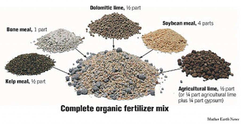 How to make your own organic fertilizer