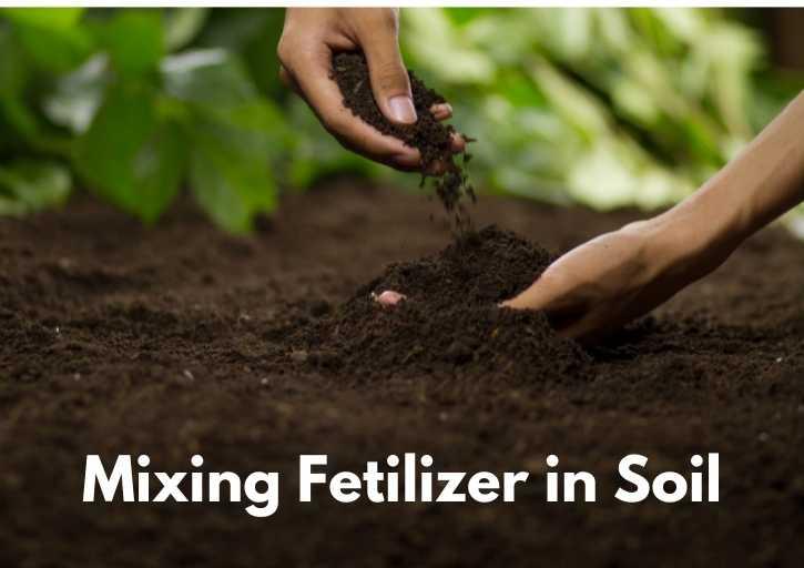 Mixing Fertilizer in Soil: The Pros and Cons Explained – Flourishing Plants