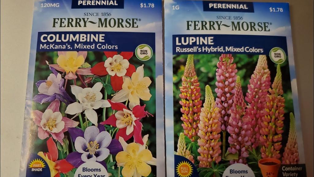 What Seeds I will be planting in 2022 - Ferry Morse Seeds🌱 - YouTube