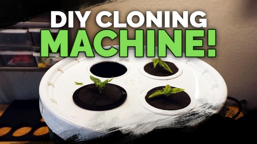 DIY Cloning Machine: Two EASY Ways to Build a Propagation Station - YouTube