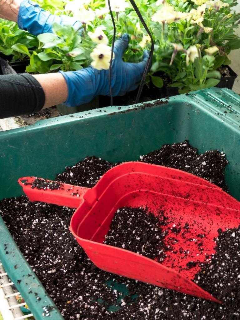 Potting Mix versus Garden Soil | Picking the Perfect Soil for your Garden — Inquisitive Gardener