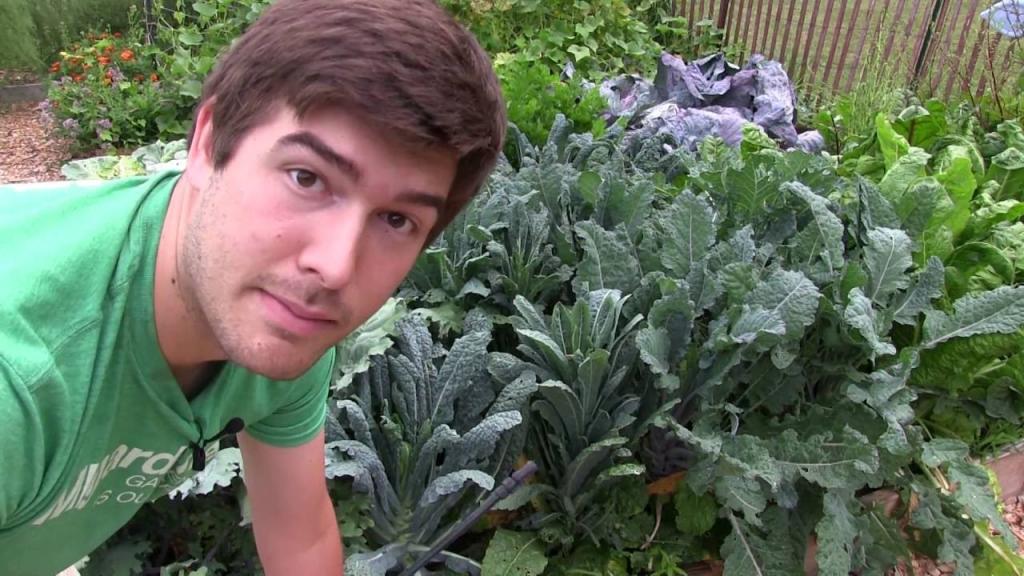 Get Rid of Pest Caterpillars In The Garden Once And For All! - YouTube