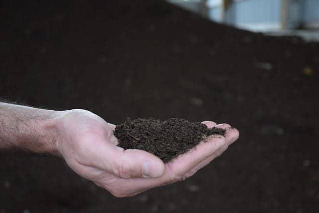 Loam Soil and Compost: Differences You Need To Know – Your Indoor Herbs and Garden