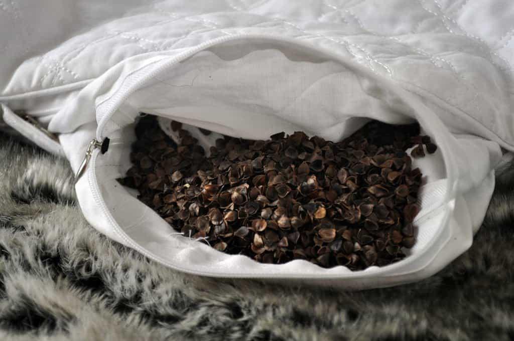 Qbedding Buckwheat Pillow Review | Sleepopolis