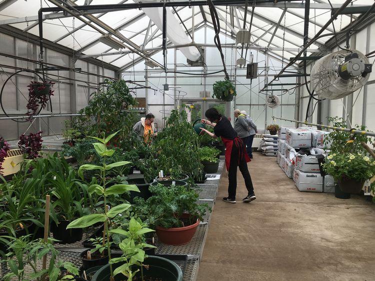 How do I start an educational greenhouse at school? - Floriculture & Greenhouse Crop Production