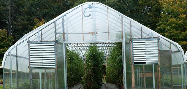 Why Grow in a Greenhouse? Basics & Advantages of Protected Culture