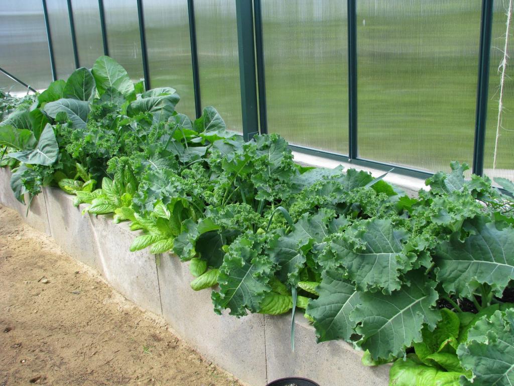 How Much Food Can Your Small Greenhouse Grow?