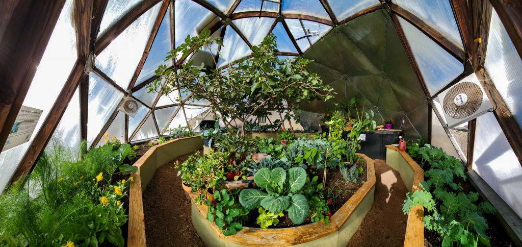 Why Do Greenhouses Need Ventilation? - Growing Spaces Greenhouses