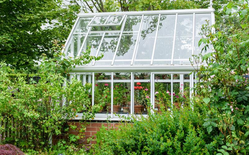 The Importance of Proper Greenhouse Ventilation | Blog at Thompson & Morgan