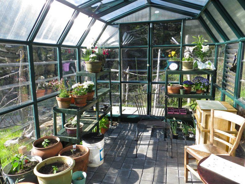 How Soon Can You Start Growing In A Greenhouse Upstate NY - Krostrade