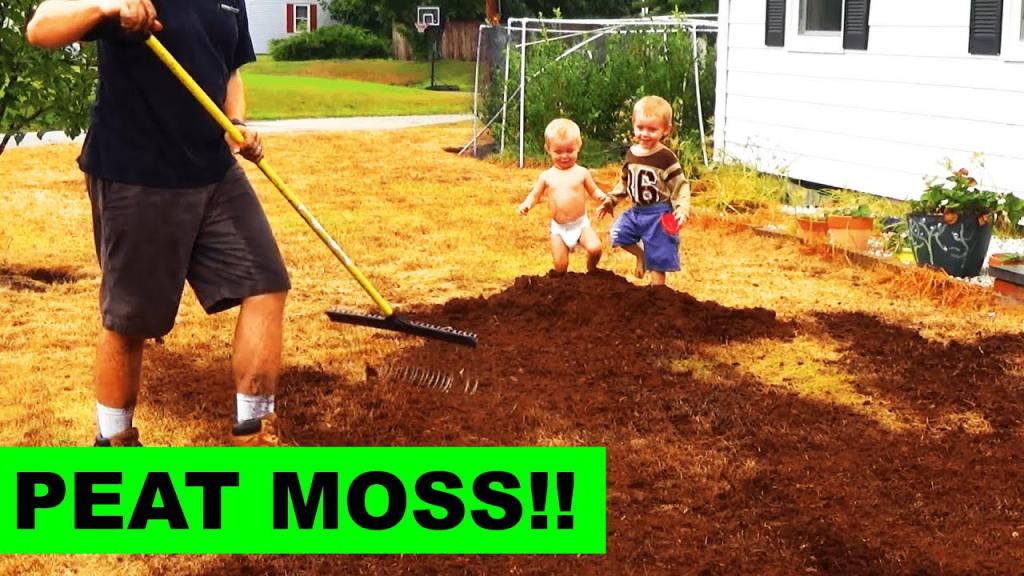 Top Dressing your Grass Seed with Peat Moss - YouTube