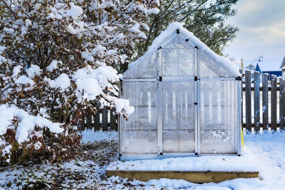 How to keep a greenhouse warm in the winter | Total Landscape Care