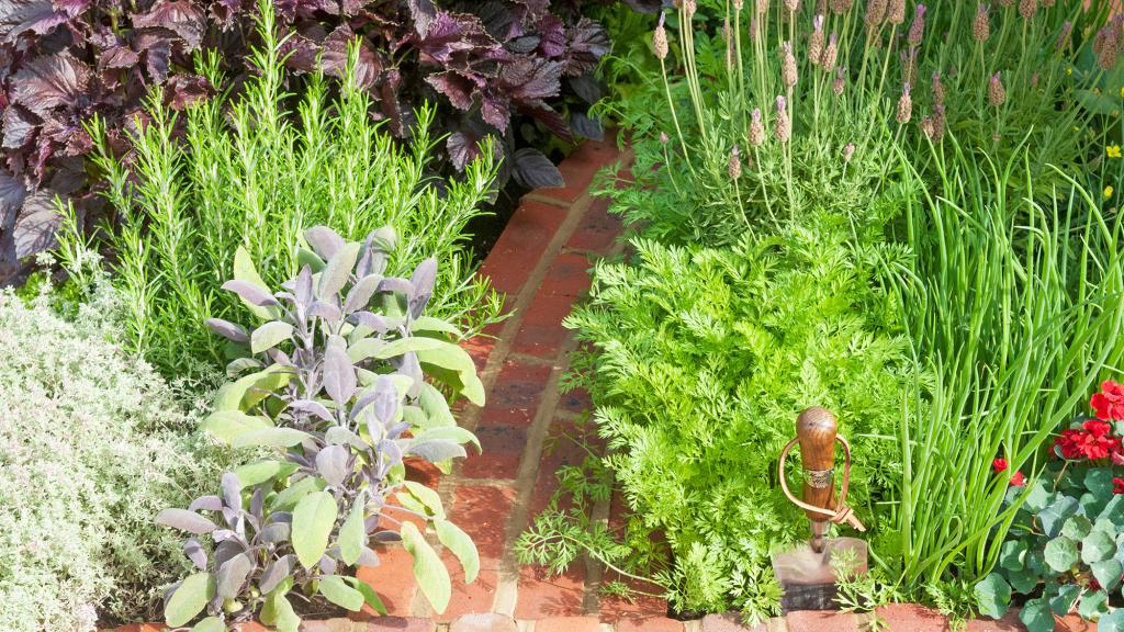 Herb garden ideas: 18 ways to grow, indoors and outdoors |