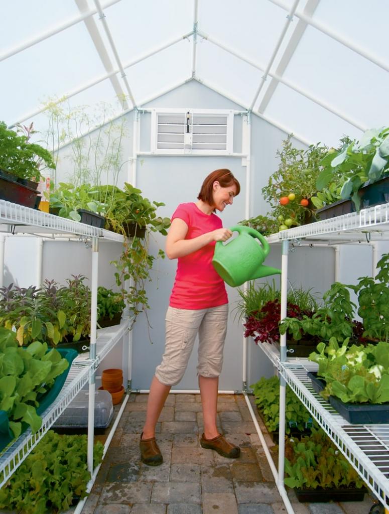 5 Things to Consider Before You Buy a Greenhouse | Eartheasy Guides & Articles