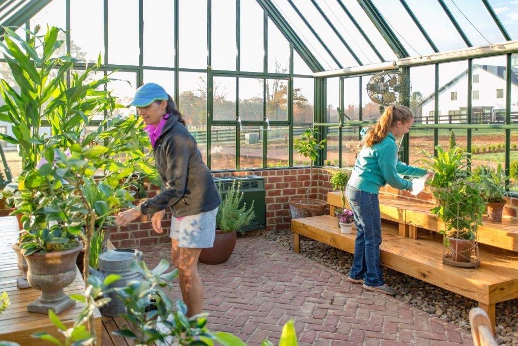 Walk-in greenhouse benefits - Hartley Botanic
