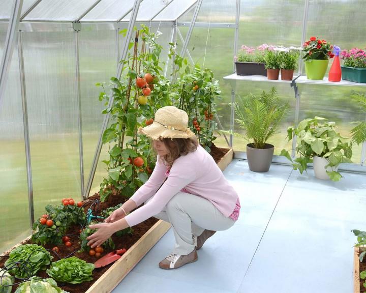 Hobby Greenhouses – Polyglass Plastics