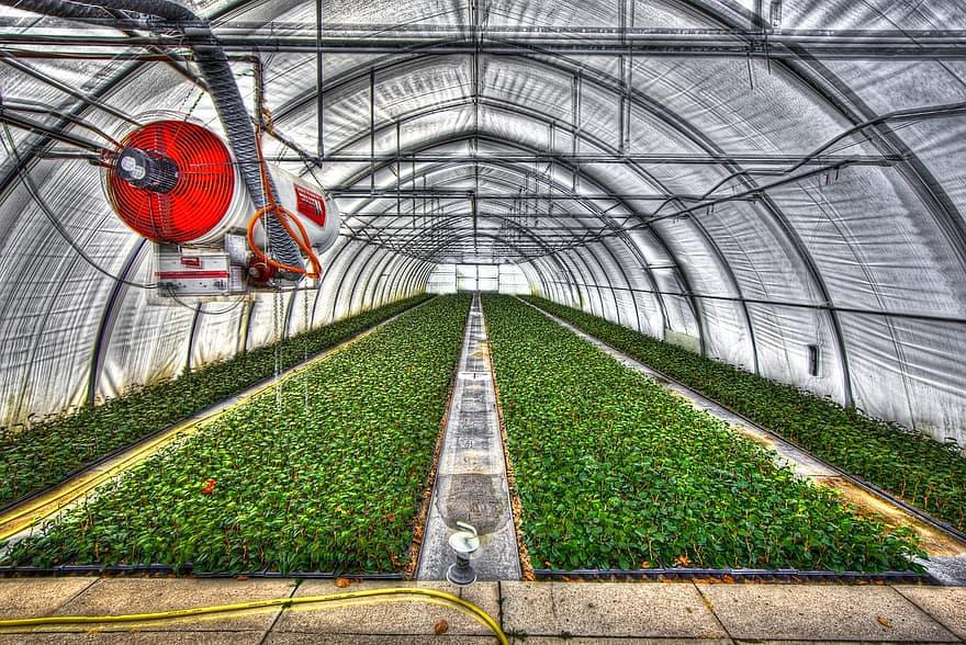 What Is The Hardiness Zone In Greenhouse Growing - Krostrade