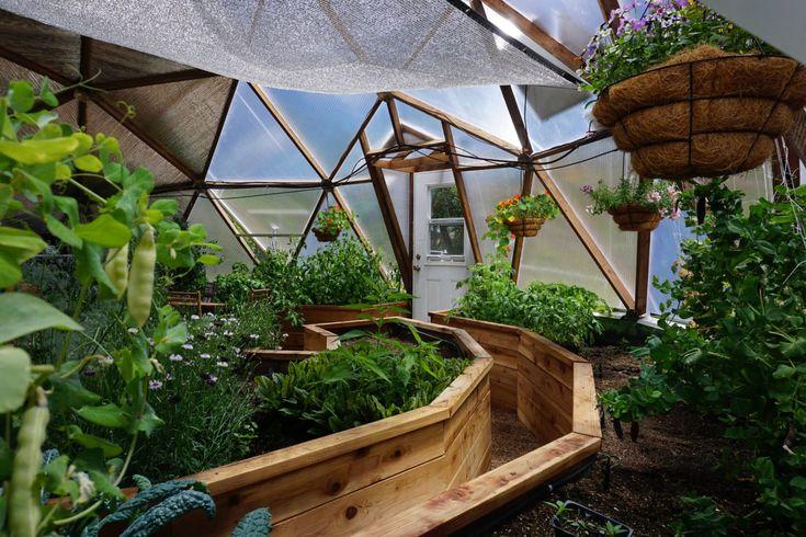 Greenhouse Planitng Guide - Growing Dome Gardening Advice | Dome greenhouse, Geodesic dome greenhouse, Backyard greenhouse