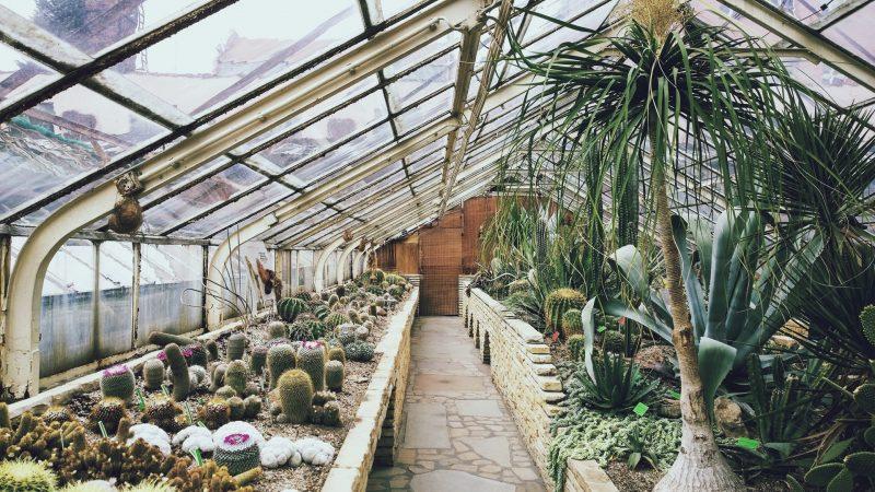 What Temperature is Too Hot for a Greenhouse - Krostrade