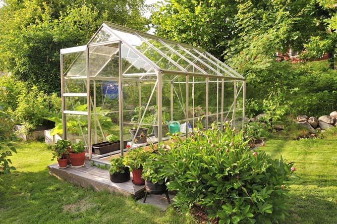How to Avoid the Most Common Greenhouse Mistakes | Gardener's Path