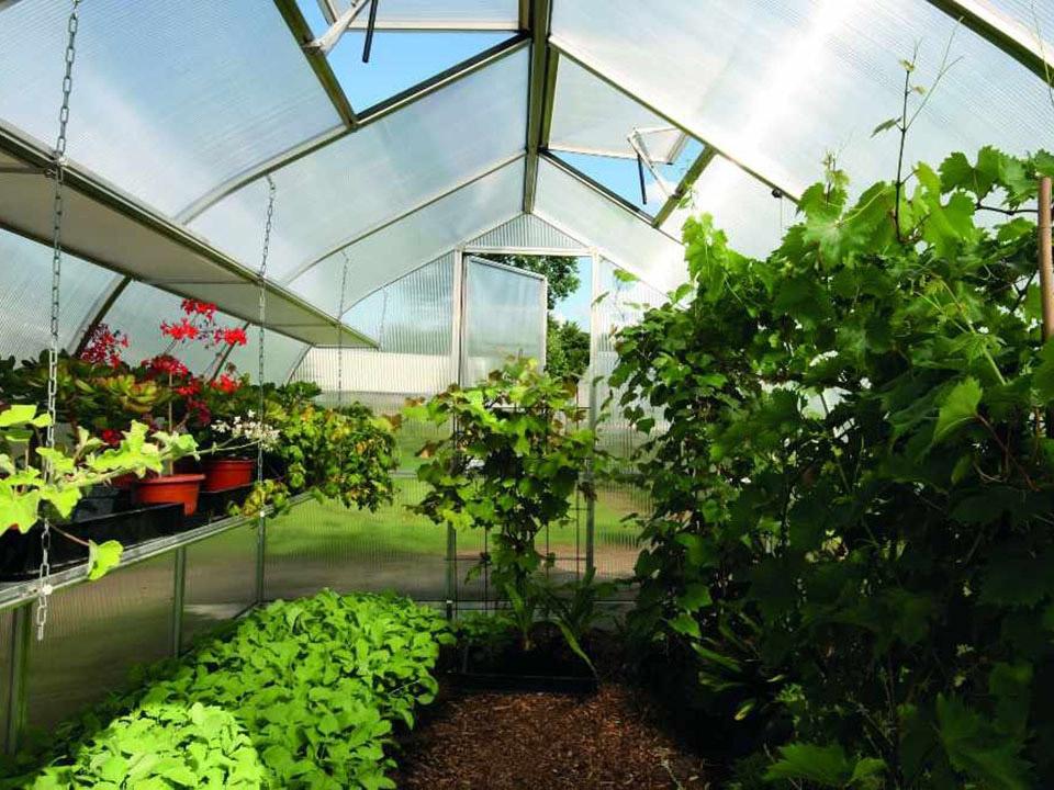 Greenhouse Gardening For Beginners - Where do I start?
