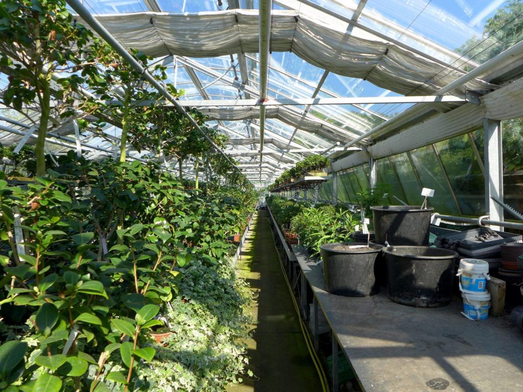 When To Start Planting A Greenhouse Palouse - Krostrade