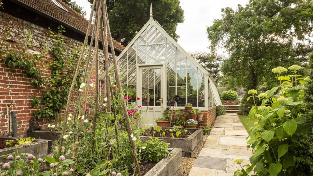 How to use a greenhouse to grow plants, fruit and vegetables | Gardeningetc