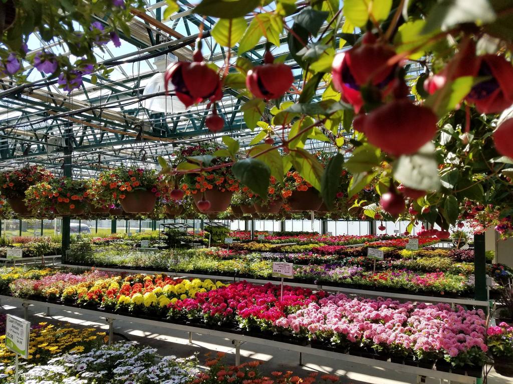 Beautify your garden with these 7 Sheboygan County garden centers and greenhouses | Business | sheboygansun.com