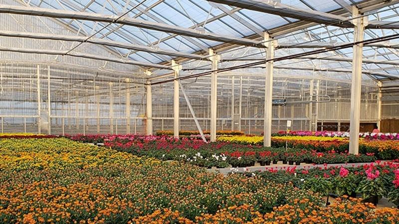 Home - Greenhouse Product News