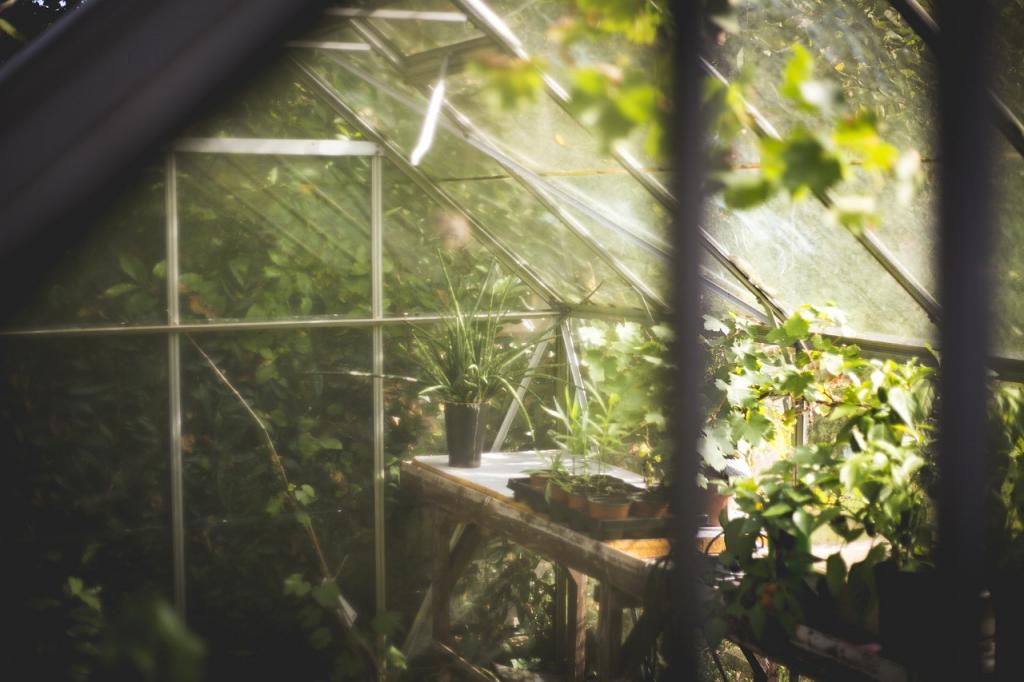 A Look Back at the Amazing History of Greenhouses | by Mark Crumpacker | Medium