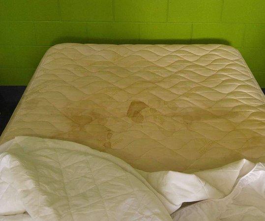 Bird poop on the bed and big smelly stain on my other bed . Horrible - Picture of Adventurers Resort, Townsville - Tripadvisor