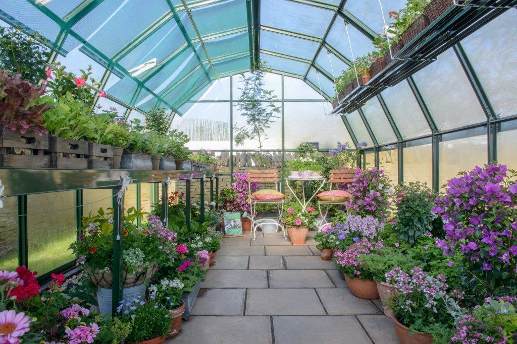 Why do plants grow better in a greenhouse? - by Jean Vernon