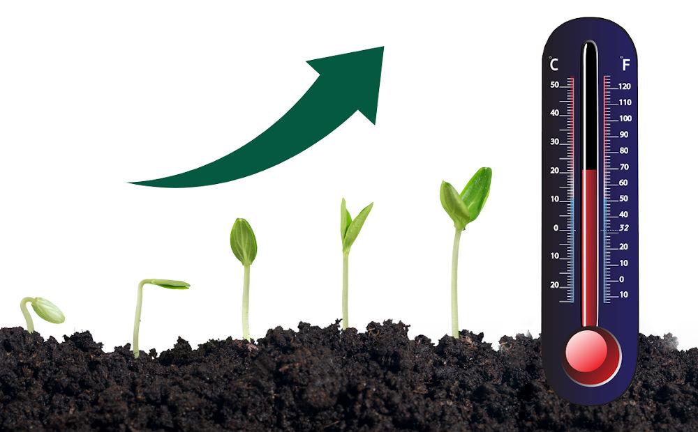 How Air Temperature Affects the Growth of Plants | Atfield Technologies