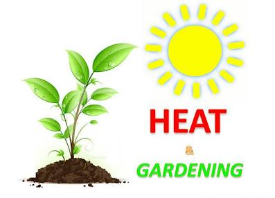 Temperature And Plant Growth: How Does Temperature Affect Plant Growth