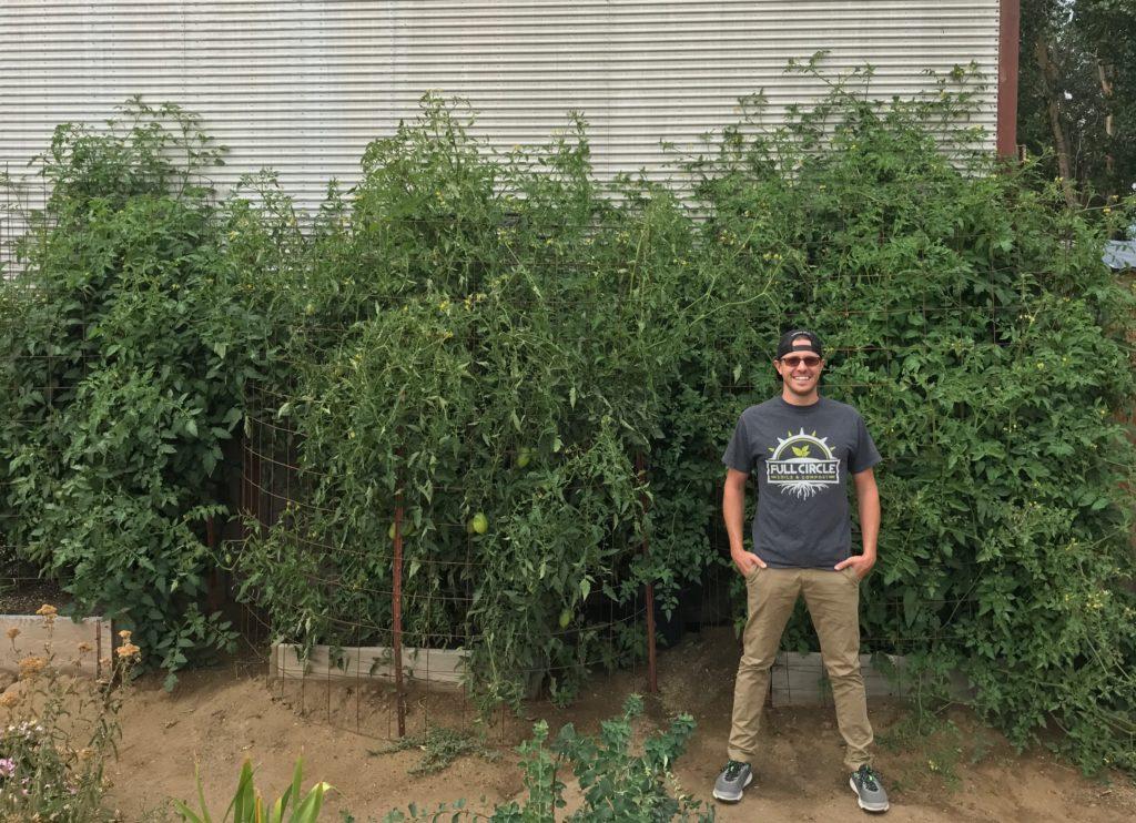 300lbs of Tomatoes from One 4x4 Raised Garden Bed? YES! | Grow Huge Tomatoes in Nevada - Full Circle