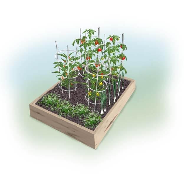 Planting a 4 x 4-Foot Salsa Garden | Bonnie Plants
