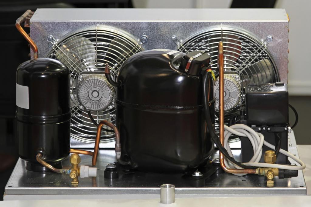 How Much Is A Fridge Compressor? All You Need To Know