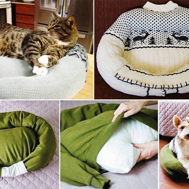 Diy pet bed, Diy cat bed, Diy dog stuff