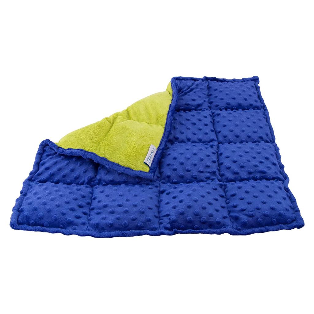 Sensory Weighted Lap Pad for Kids 5 pounds - Great Weighted Lap Blanket for Kids with Autism, ADHD, and Sensory Processing Disorder - Classroom and Special Education Supplies : Amazon.in: Toys & Games