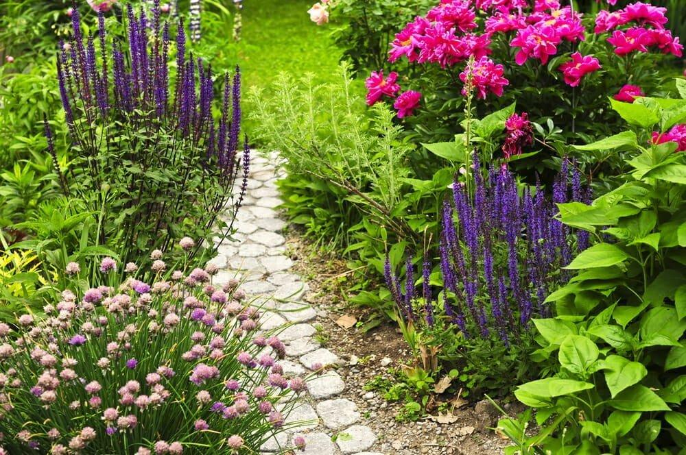 Annual Flowers: 4 Tips to Grow a Gorgeous Garden - Millcreek Garden