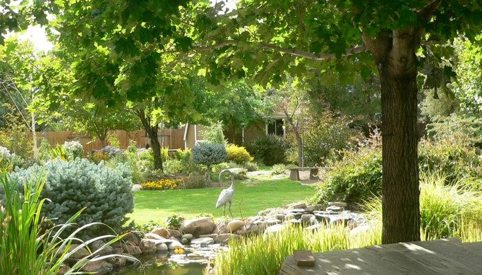 Cottage Gardening In Reno | High Country Gardens