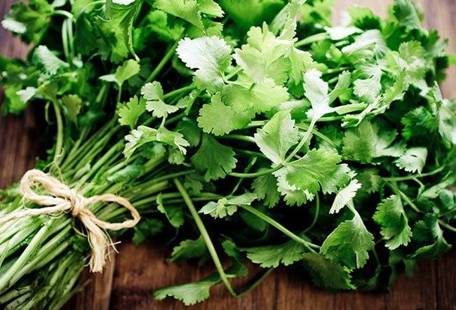 Why Is Cilantro Bad for You? Side Effects & Benefits
