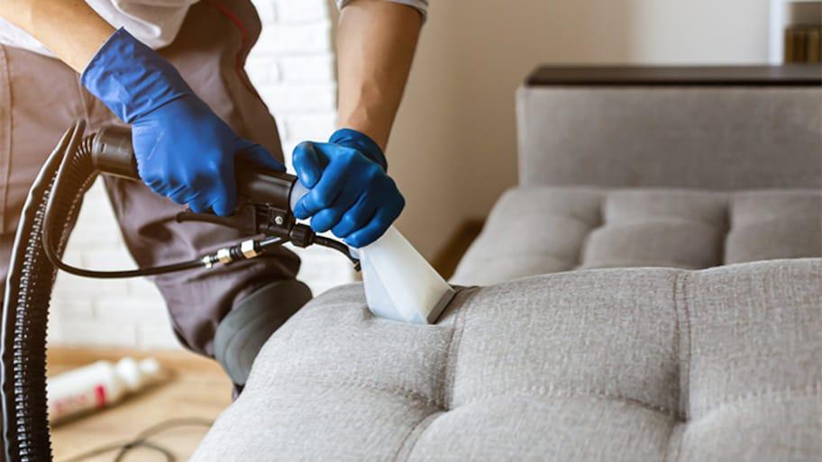 How Much Does Furniture Upholstery Cleaning Cost in 2023? | Angi