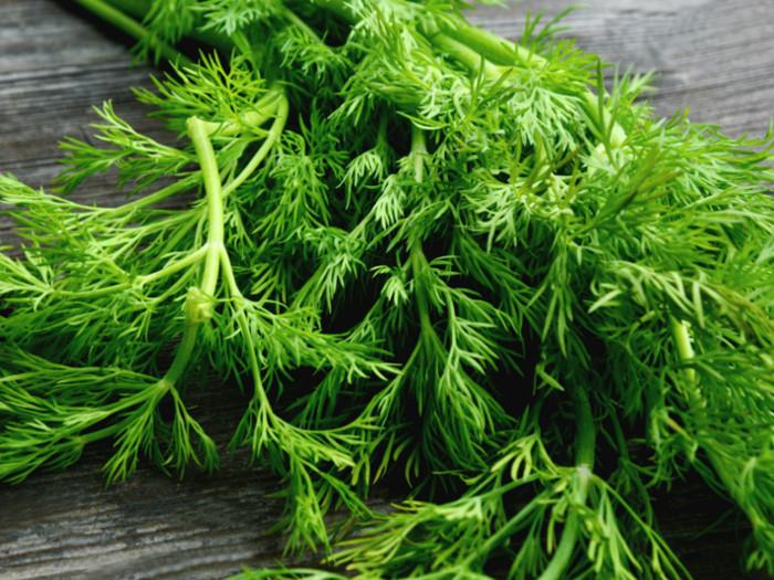 11 Health Benefits of Dill | Organic Facts