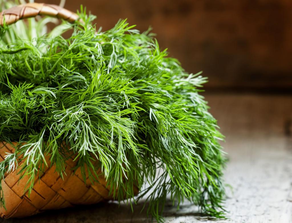 Dill and Its Immense Health Benefits- HealthifyMe