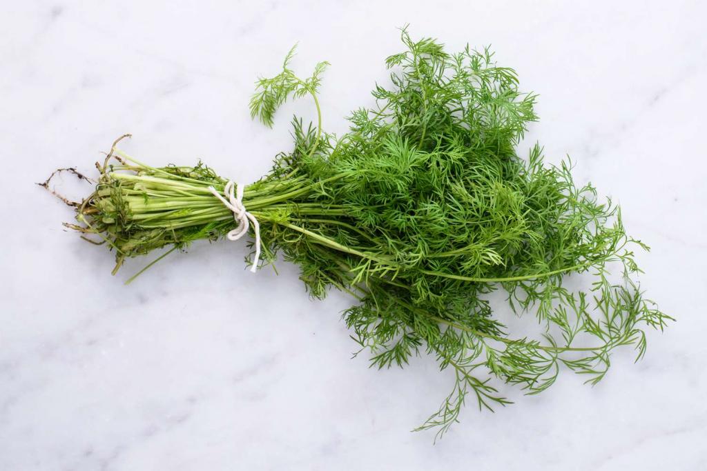 Dill Benefits, Side Effects, and Preparations