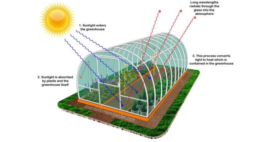 How Does a Greenhouse Work? - Essential Home and Garden