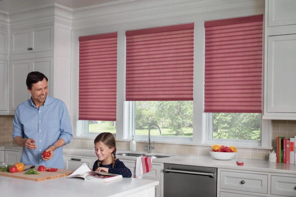 6 Ways to Dress a Window without Curtains - Sunnyvale, CA