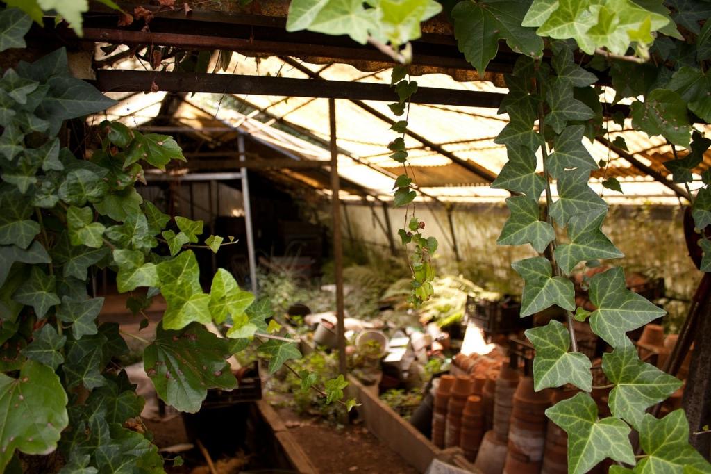 How To Purify Air In The Small Greenhouse - Krostrade