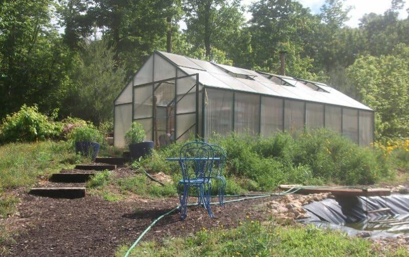 Greenhouse Gardening: Airflow, Light, and Climate Management Skills